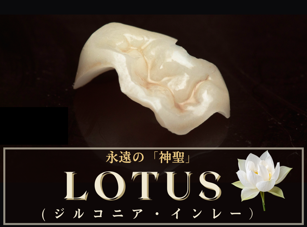 高円寺駅南口徒歩2分の歯医者、高円寺PAL歯科医院のセラミック治療