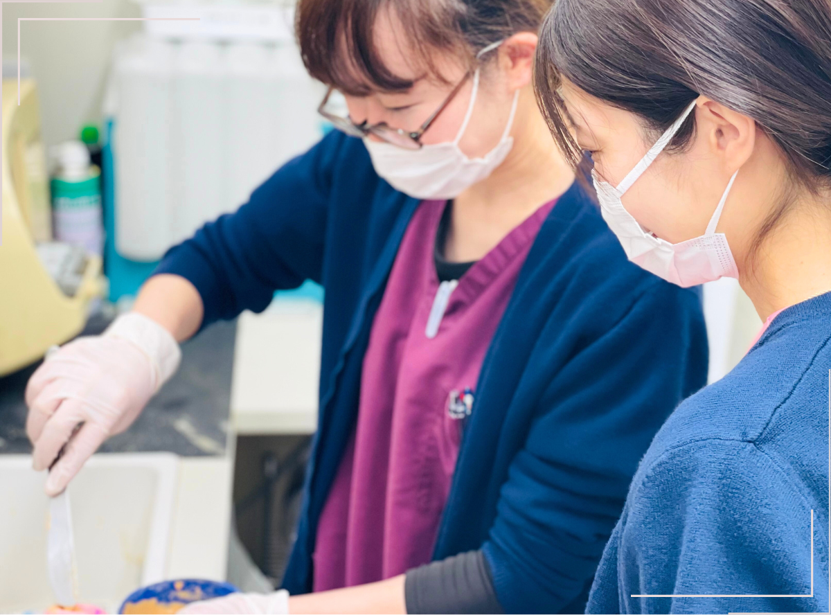 高円寺駅南口徒歩2分の歯医者、高円寺PAL歯科医院の歯科衛生士さんの募集要項