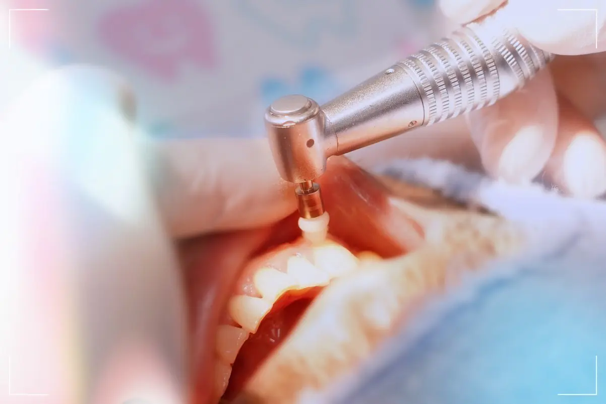 高円寺駅南口徒歩2分の歯医者、高円寺PAL歯科医院の歯科衛生士さんの募集要項