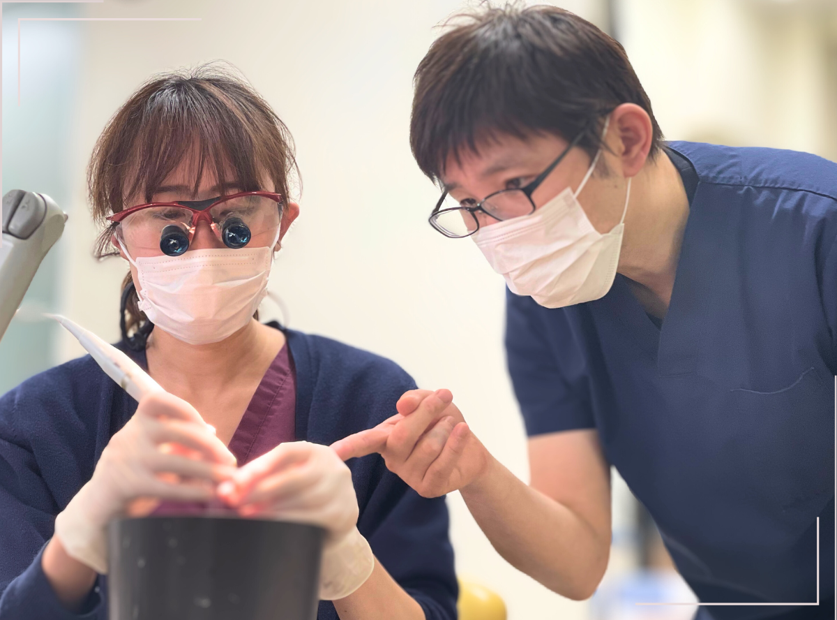 高円寺駅南口徒歩2分の歯医者、高円寺PAL歯科医院の歯科衛生士さんの募集要項